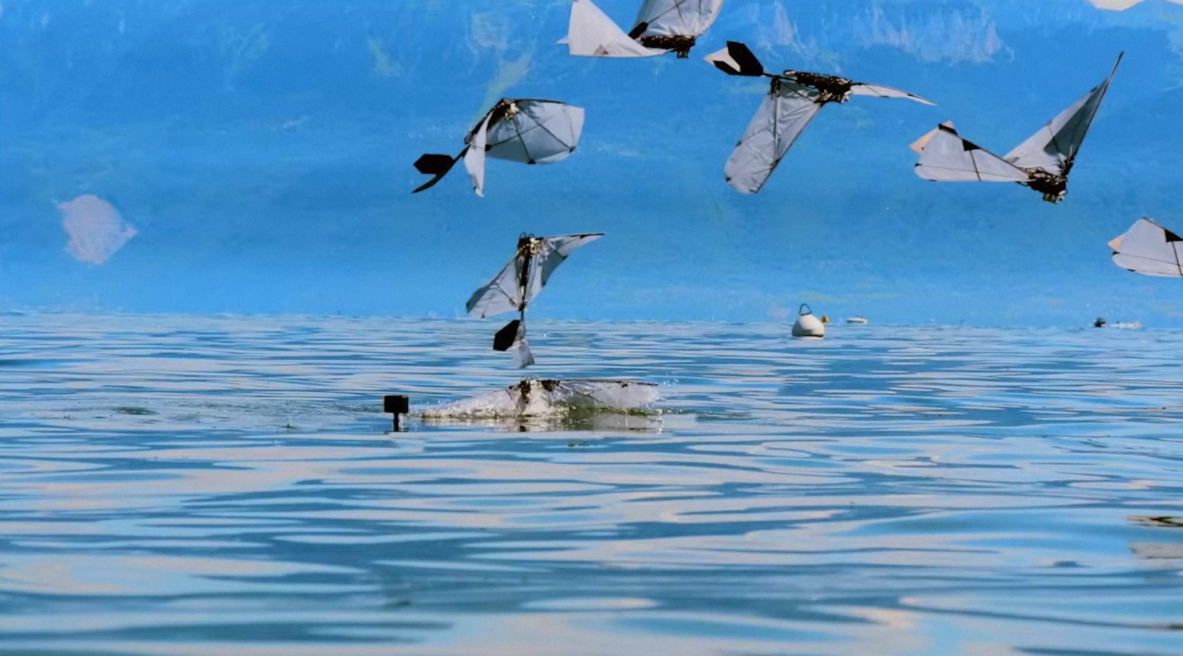 MIT's Flapping Robot Can Fly, Swim, and Breach the Surface Like a Puffin