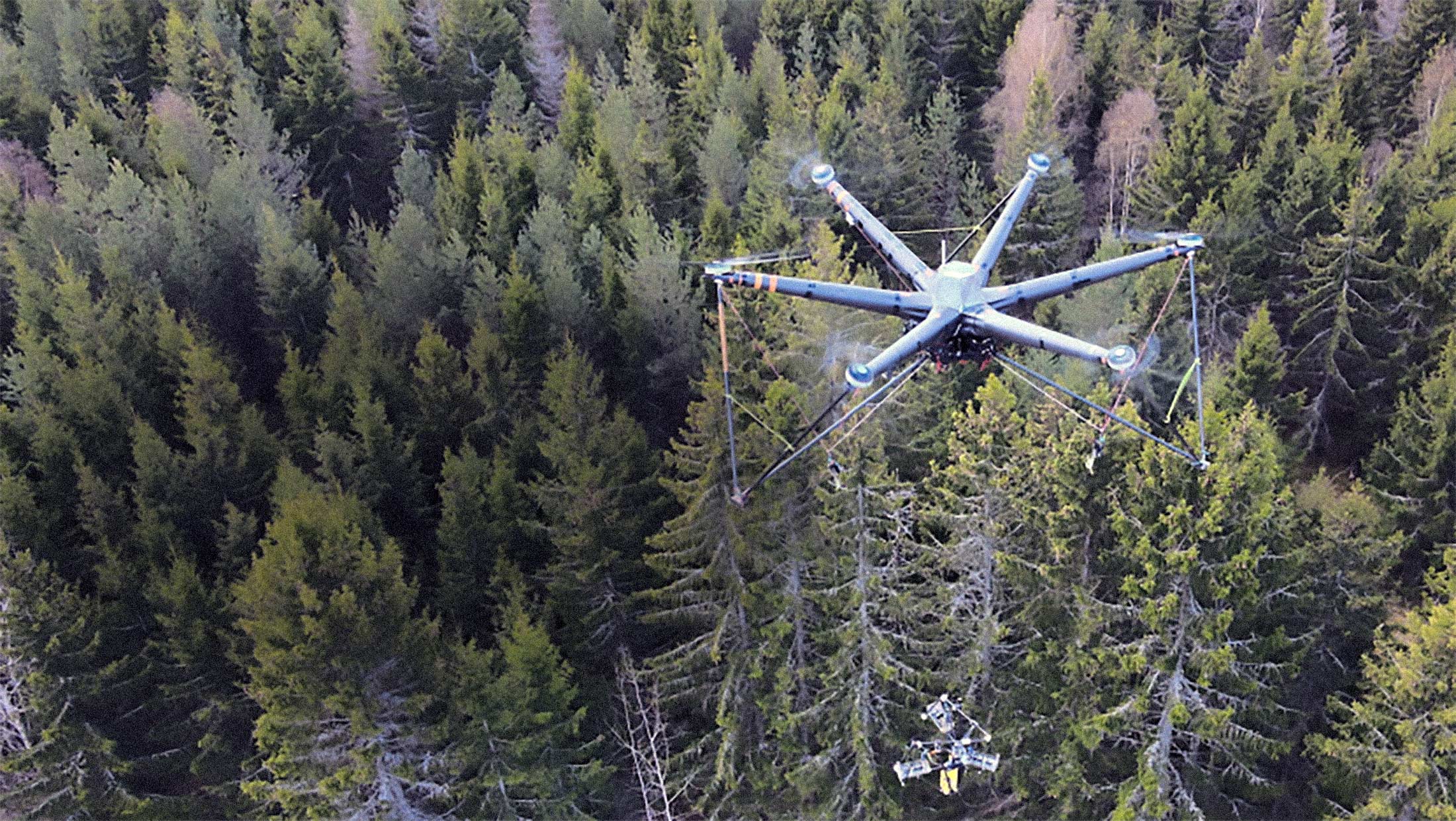 AirForestry's 20-Foot Drone Harvests Trees From Above Without Touching the Ground