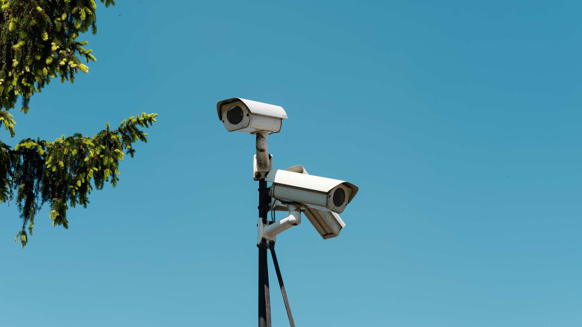 Boston Drops Flock After Vendor Error Exposed License Plate Data to Police Nationwide