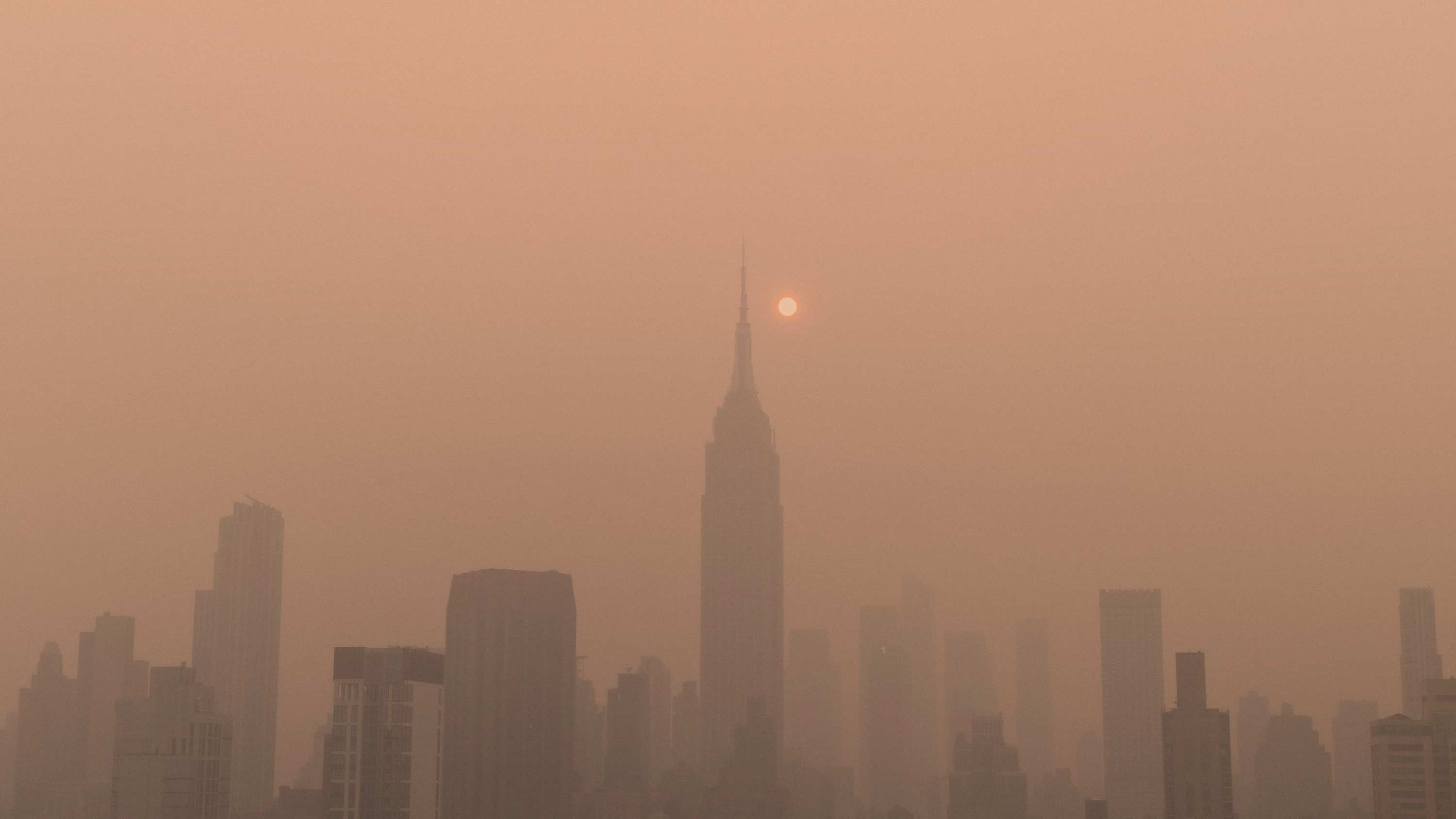 10 Air Filtration Systems to Help You Survive Wildfire Smoke Season