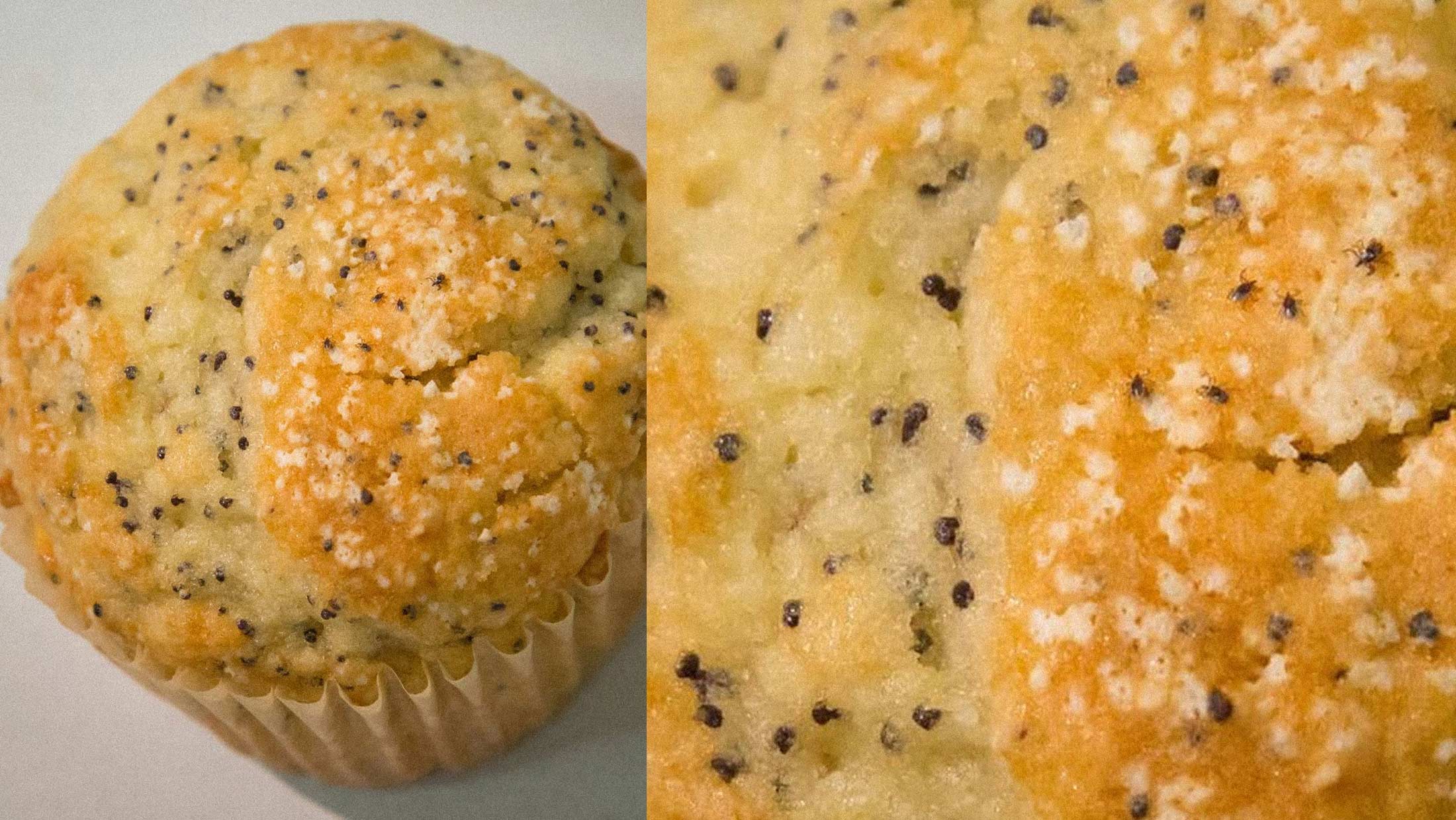 A Poppy Seed Muffin Full of Ticks Became AI's Latest Vision Test.